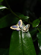EMBRACE JEWELLERY | Batik Butterfly Brooch