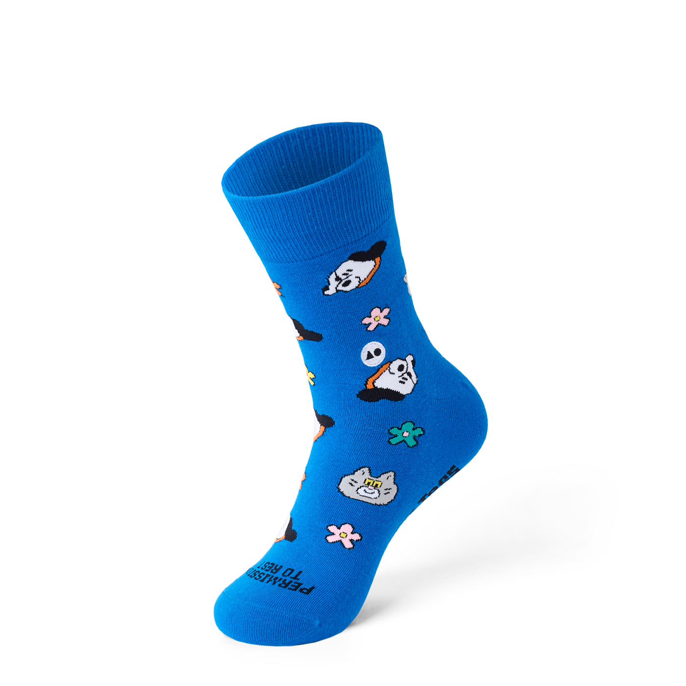 TALKING TOES | Cosy Companion Sock