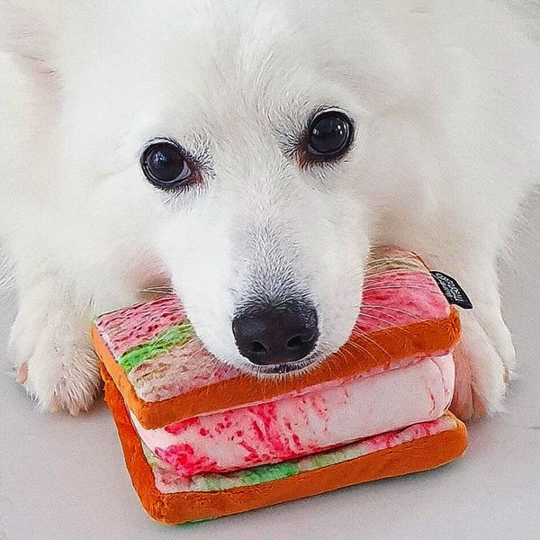 NOM | Waggle Ice Cream Sandwich Squeakie Chew Toy