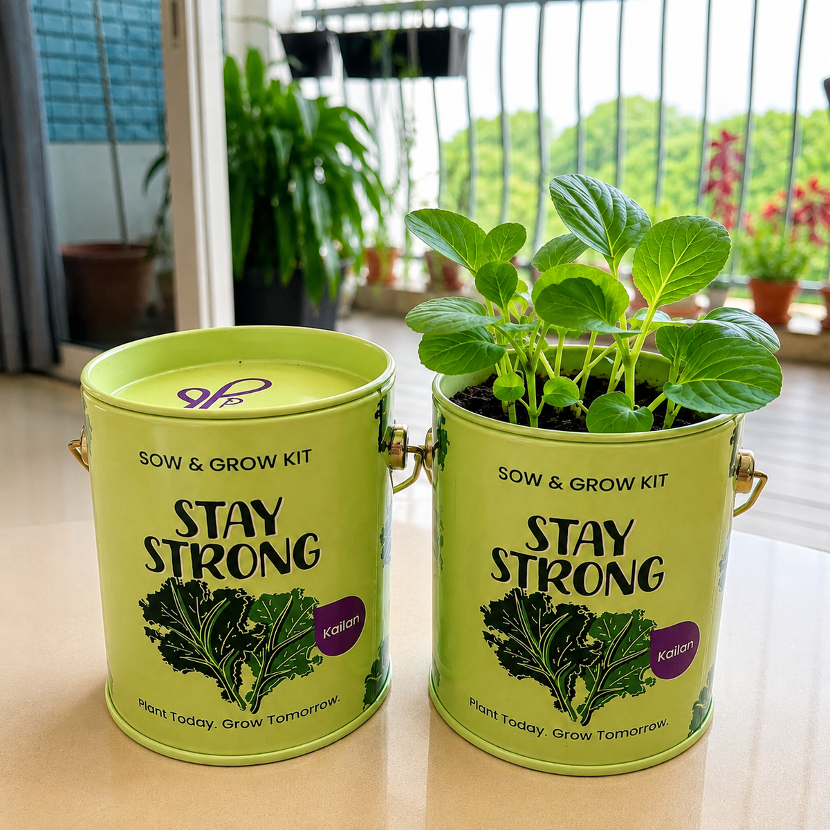 PURPLE AND PURE | Sow & Grow Kit (Mini) - Kai Lan