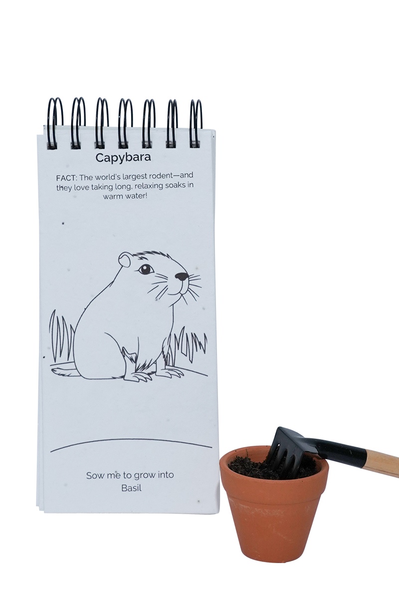 PURPLE & PURE | Singapore Zoo Plantable Colouring Book