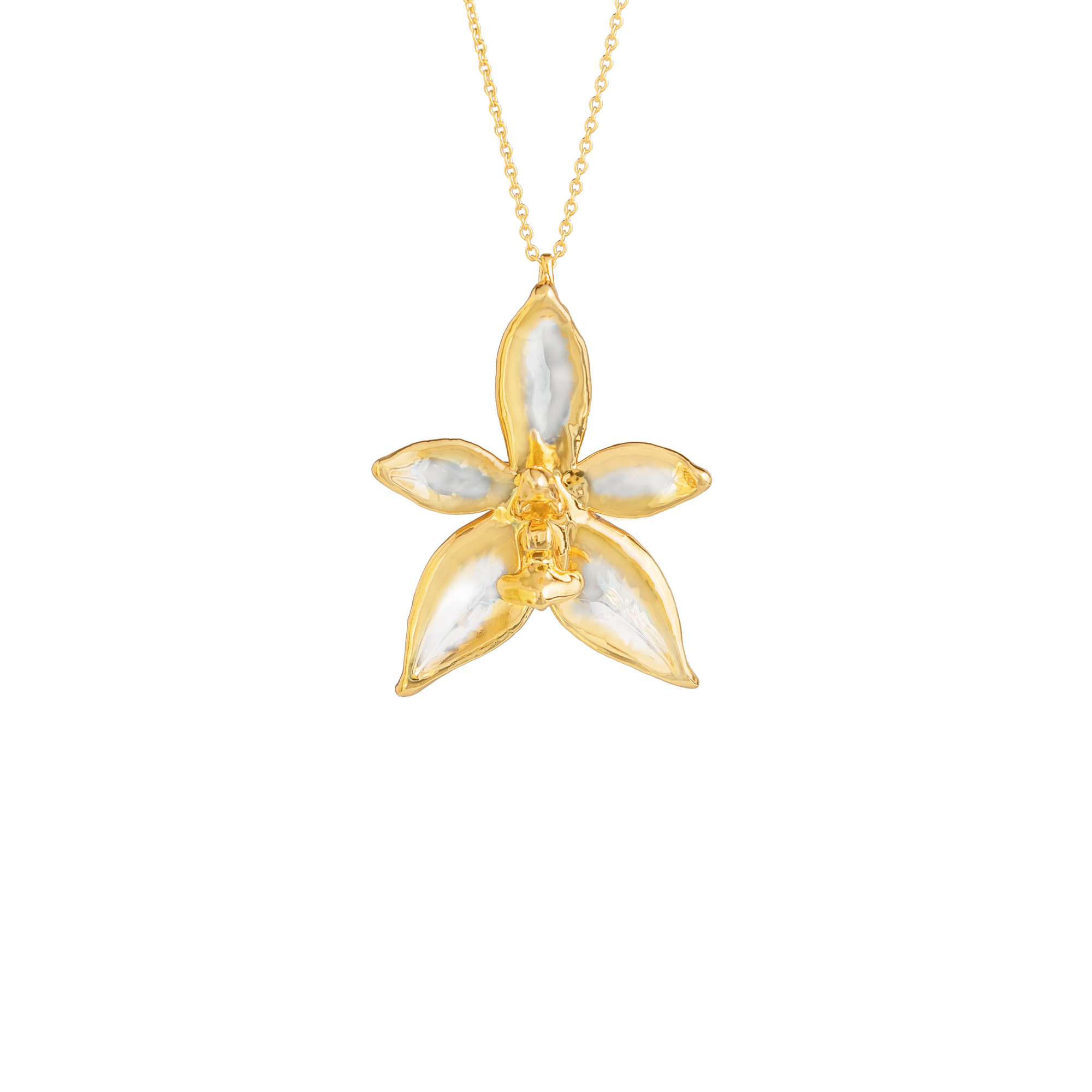 RISIS | Phalaenopsis Cornu Cervi Orchid Necklace in Gold & Palladium