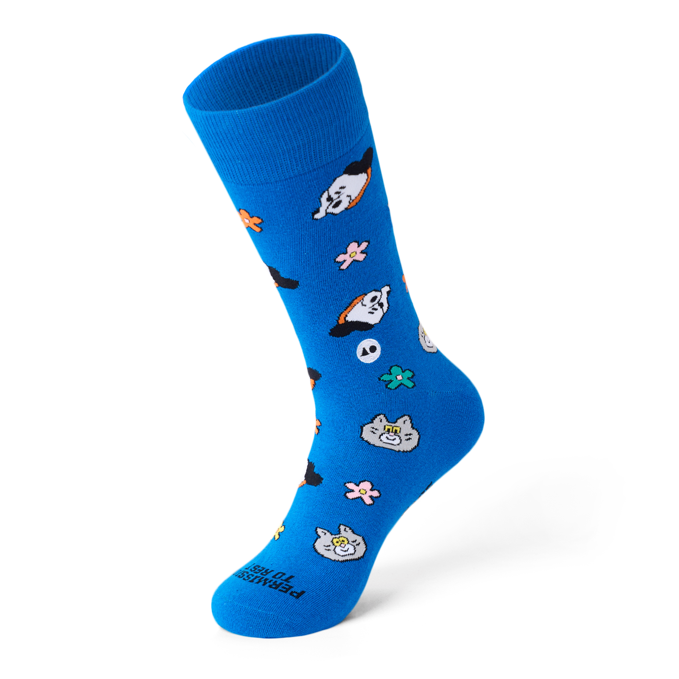 TALKING TOES | Cosy Companion Sock