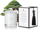 TEMPLE CANDLES | Luxury Fragranced Candle - Bonsai