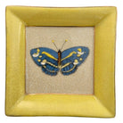 CAM | Exotico Wall Plate - Marisposa EX091