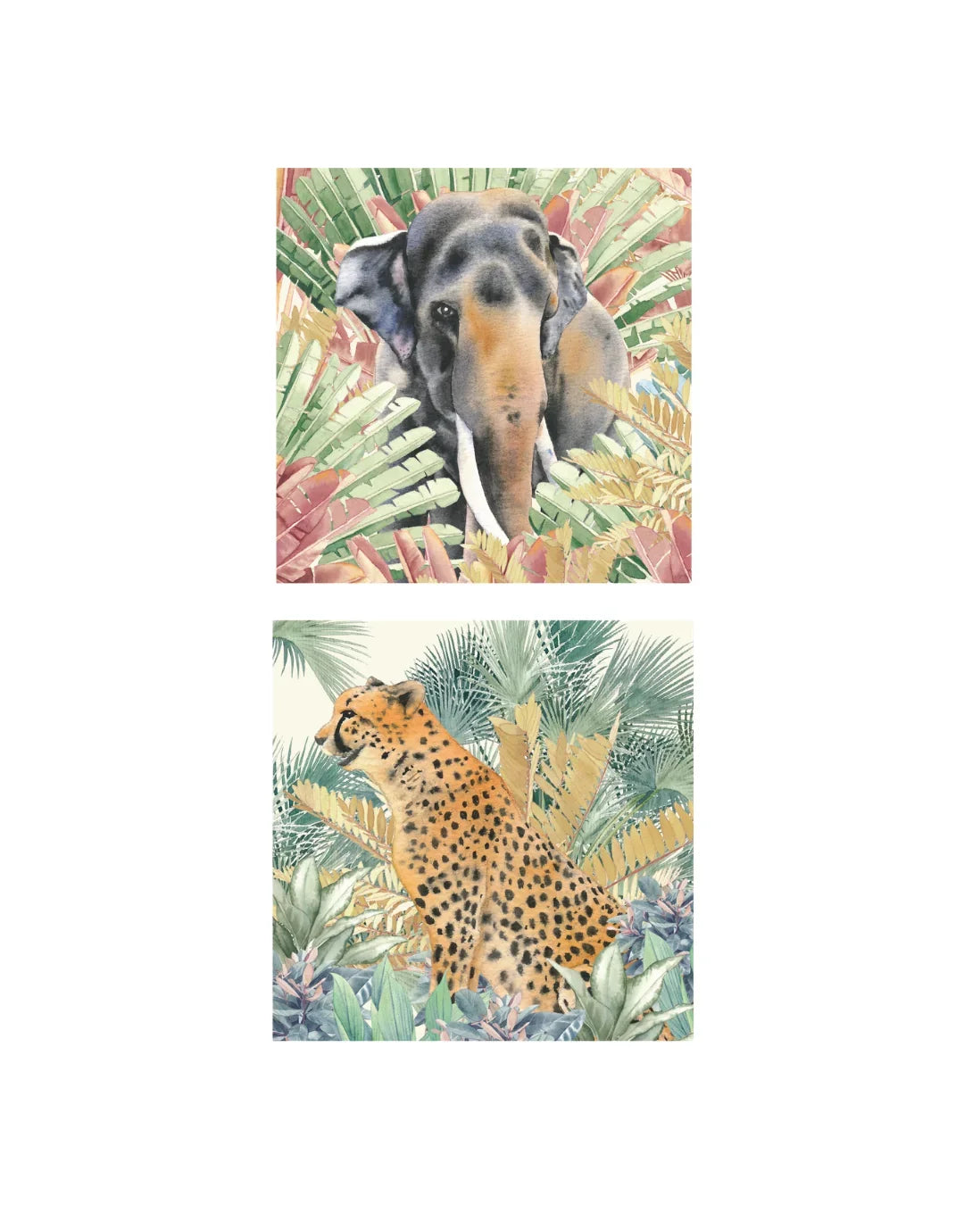 MANDAI WILDLIFE GROUP | MANDAI x SINGLAPA | Living Tapestry Coasters