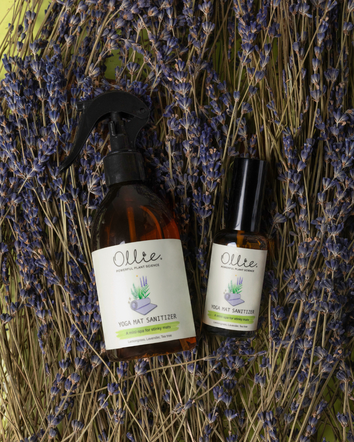 OLLIE | Yoga Mat Sanitizer Spray 50ml