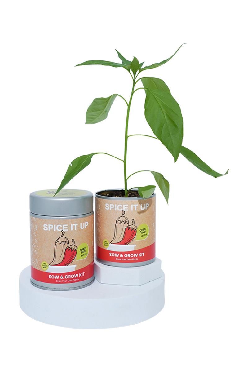 PURPLE & PURE | Sow & Grow Kit (Mini)