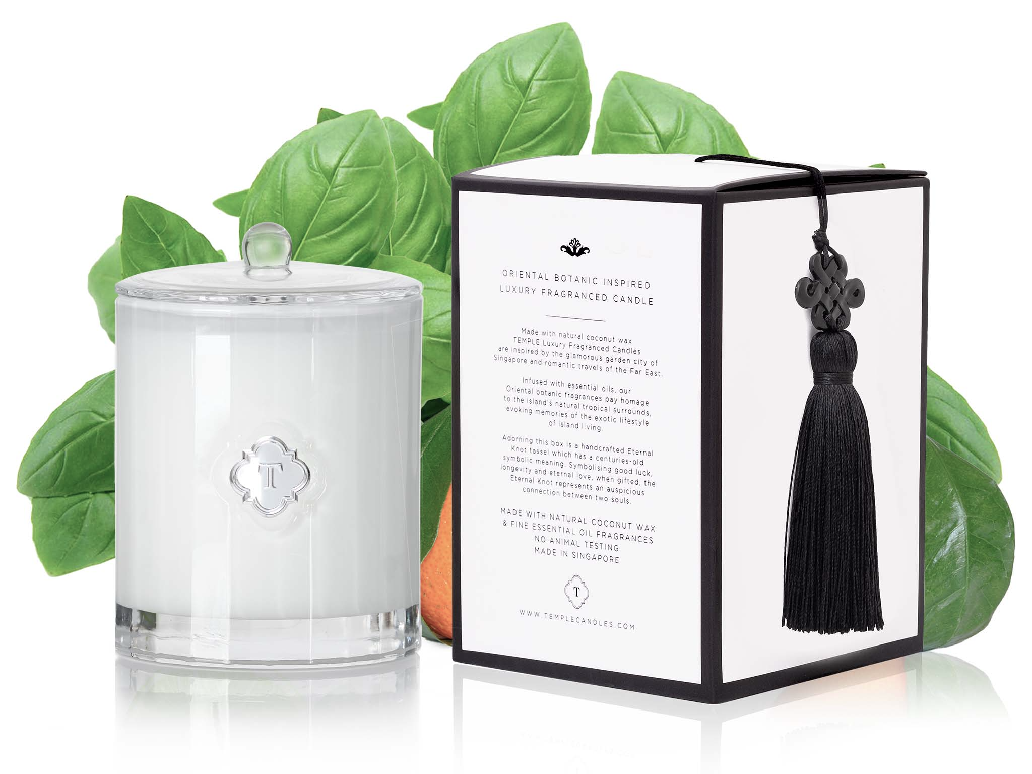 TEMPLE CANDLES | Luxury Fragranced Candle - Lime Basil