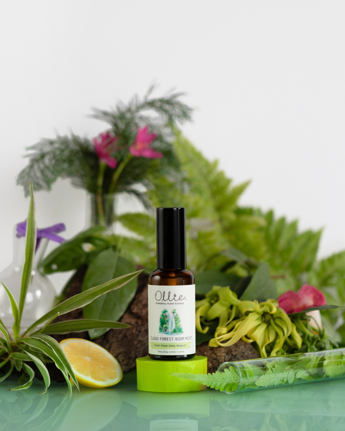 OLLIE | Cloud Forest Room Mist 50ml