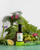 OLLIE | Cloud Forest Room Mist 50ml
