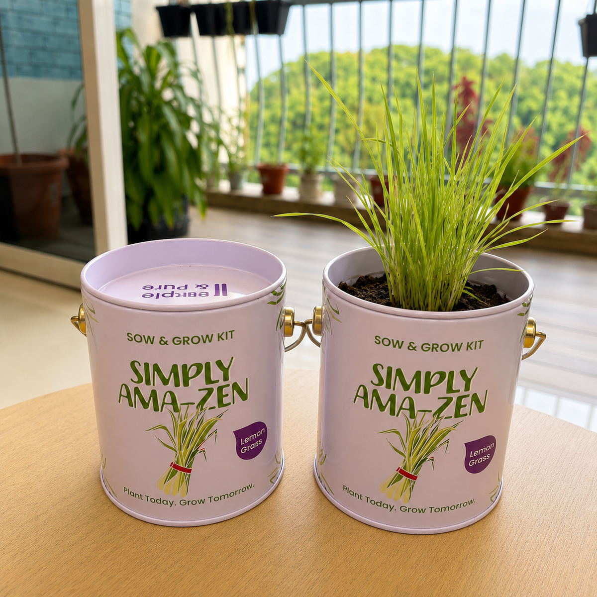 PURPLE AND PURE | Sow & Grow Kit (Mini) - Lemongrass