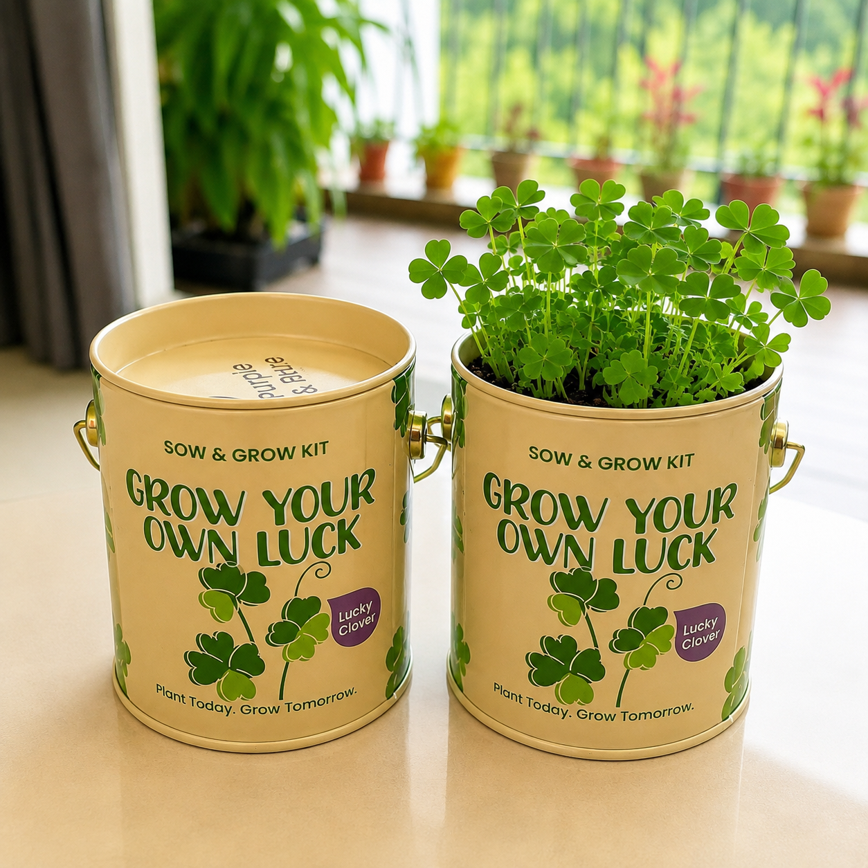 PURPLE AND PURE | Sow & Grow Kit (Mini) - Lucky Clover