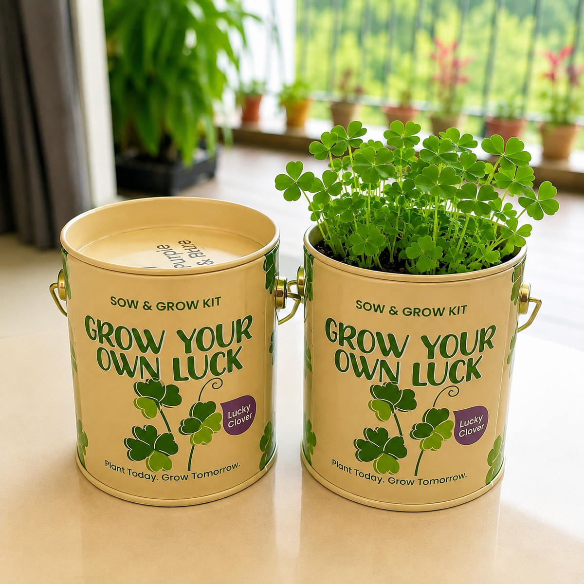 PURPLE AND PURE | Sow & Grow Kit (Mini) - Lucky Clover