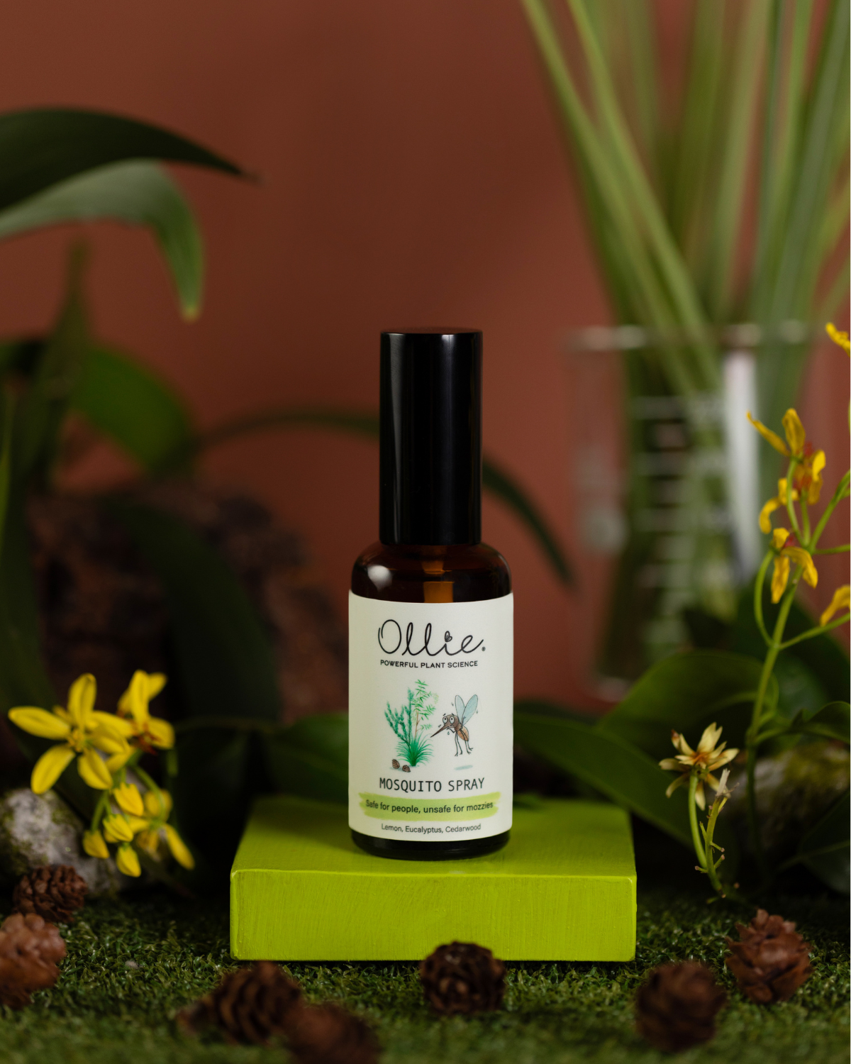 OLLIE | Travel Essentials