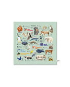 MANDAI WILDLIFE GROUP | MANDAI x SINGLAPA | A-Z Cushion Cover