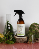 OLLIE | All Surface Cleaner 500ml