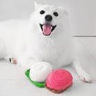 NOM | Waggle Tutu Kueh Squeakie Chew Toy