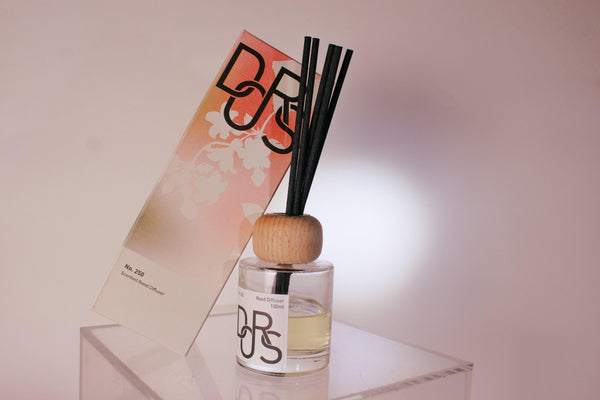 DORS 250 Diffuser PWP