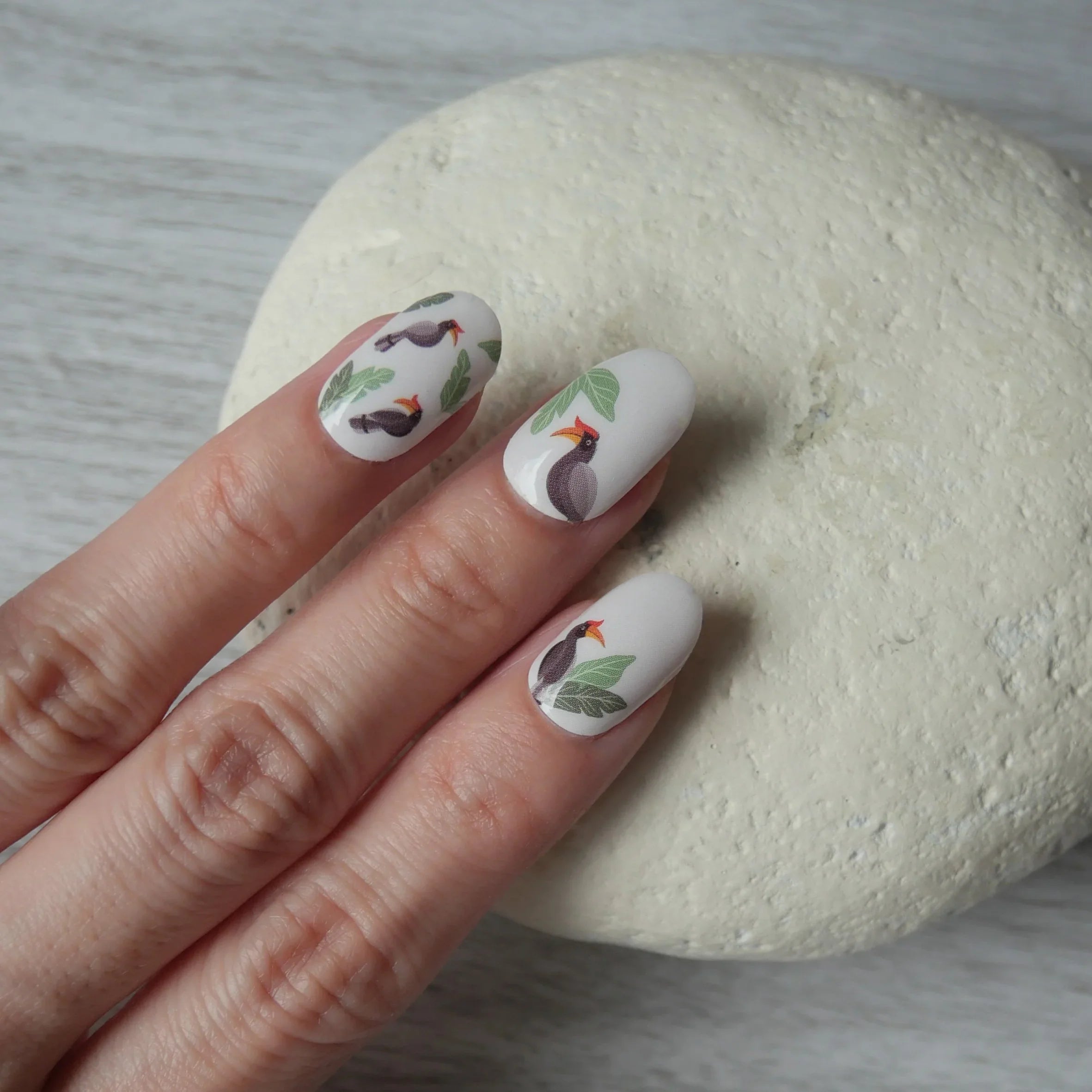 NODSPARK | Hornbill Nail Wrap Manicure