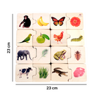 NIMBU | Chunky Wooden Puzzle - Feed the Animals