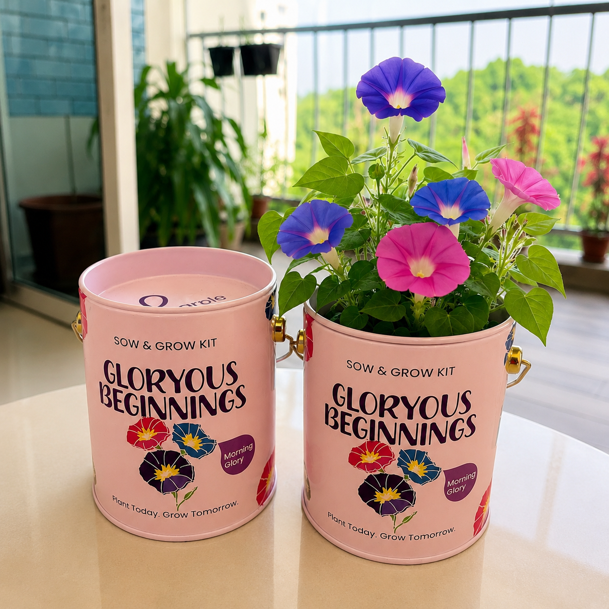 PURPLE AND PURE | Sow & Grow Kit (Mini) - Morning Glory
