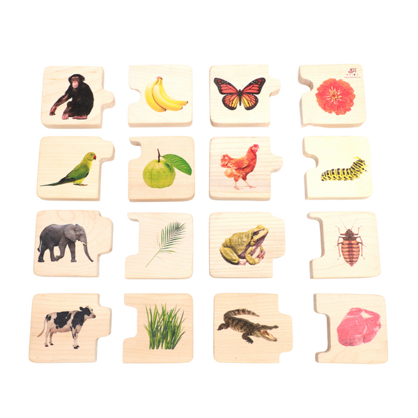 NIMBU | Chunky Wooden Puzzle - Feed the Animals