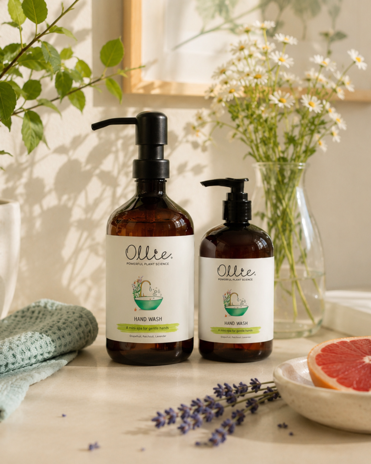 OLLIE | Hand Wash