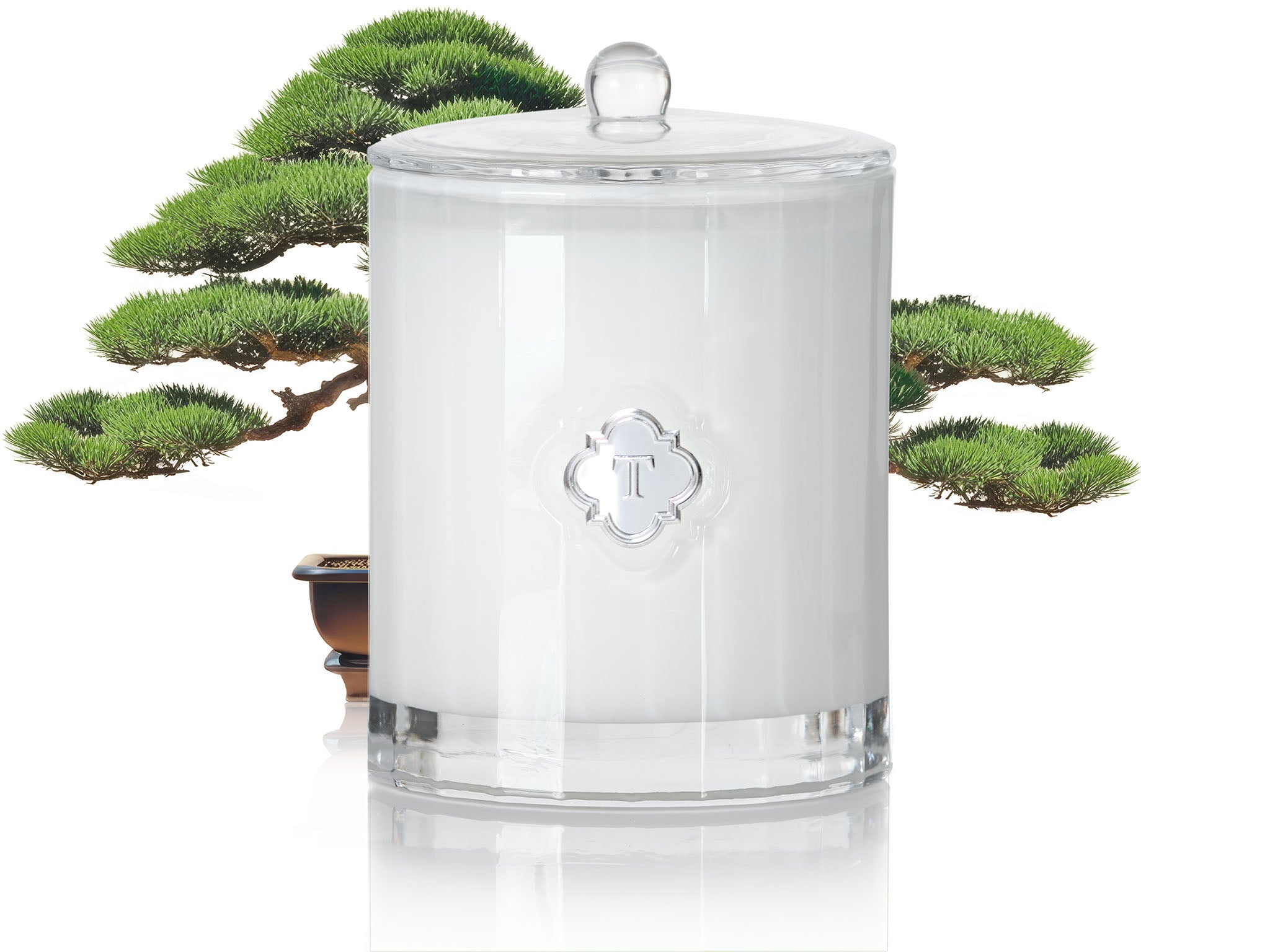 TEMPLE CANDLES | Luxury Fragranced Candle - Bonsai