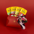 HALDY | Designer Mini - Red (Bag)