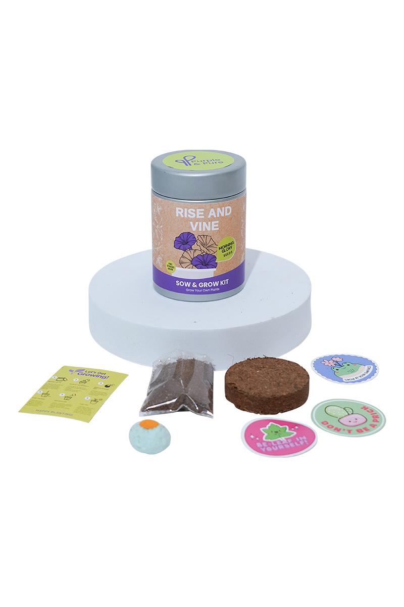PURPLE & PURE | Sow & Grow Kit (Mini)