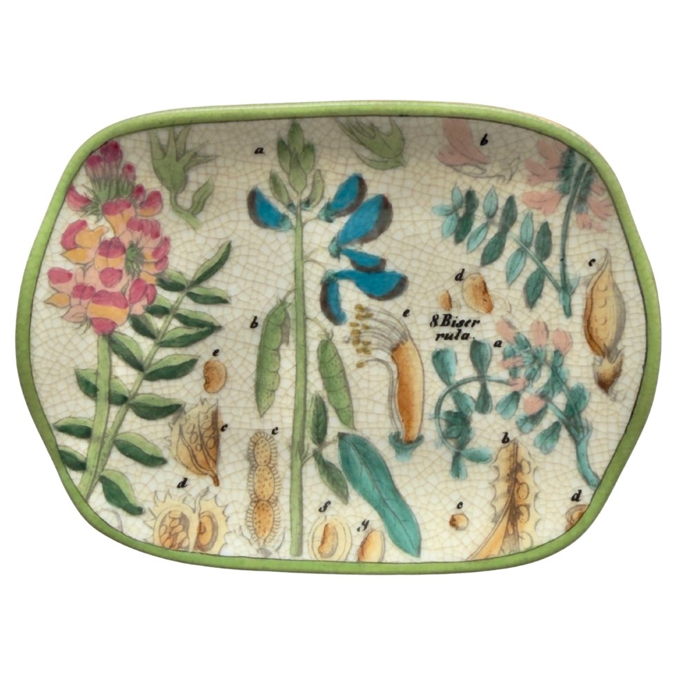 CAM | Archivo Savon Dish - Botanica