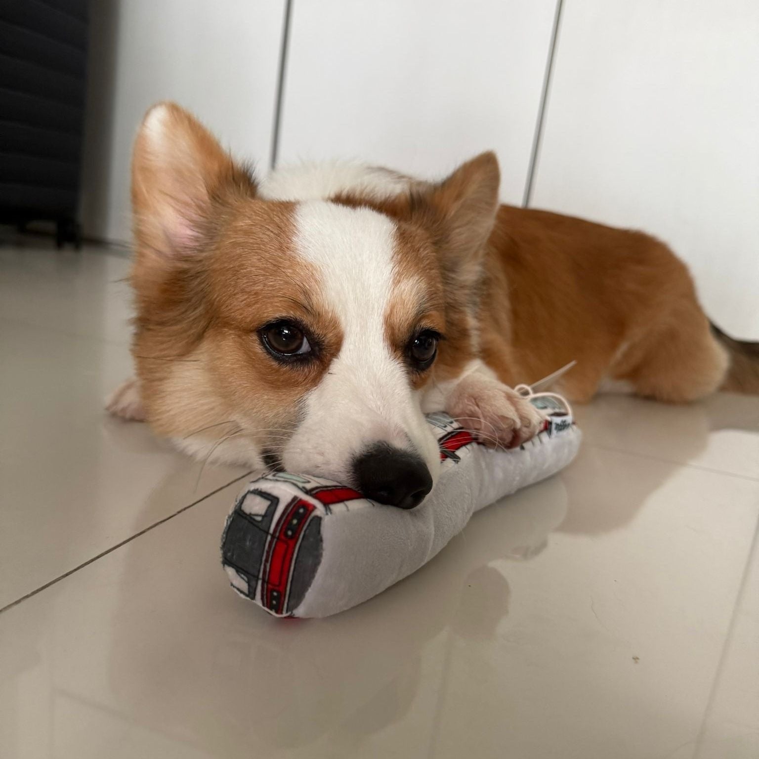 NOM | Waggle Train Chew Toy
