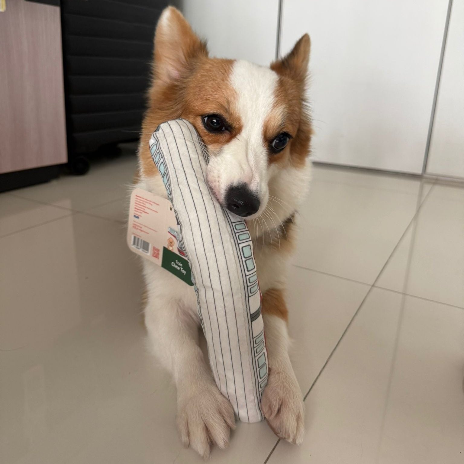 NOM | Waggle Train Chew Toy