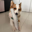 NOM | Waggle Train Chew Toy