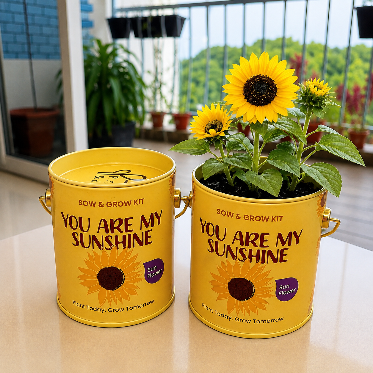 PURPLE AND PURE | Sow & Grow Kit (Mini) - Sunflower