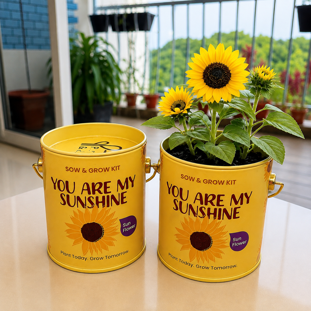 PURPLE AND PURE | Sow & Grow Kit (Mini) - Sunflower