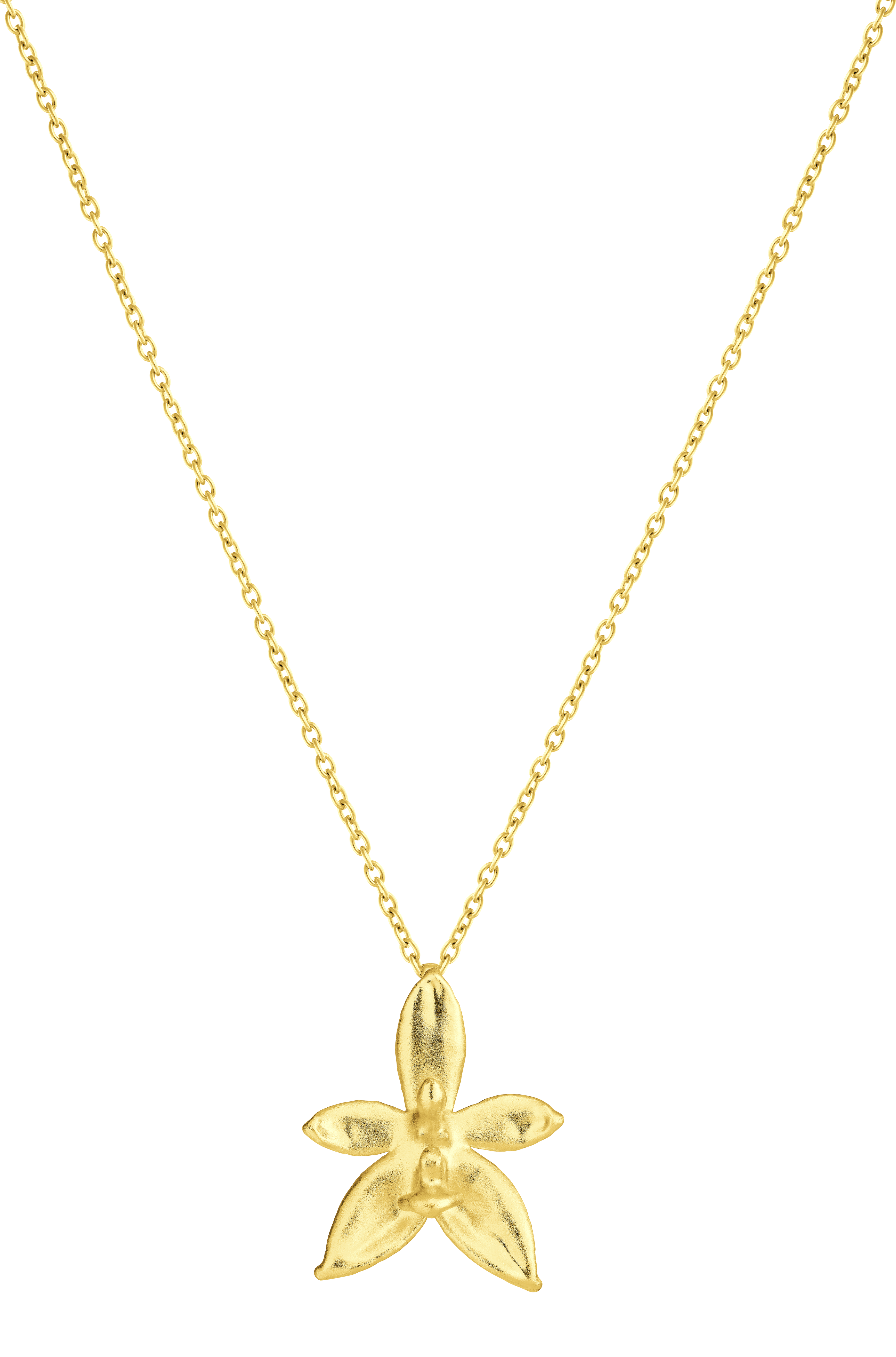 RISIS | Phalaenopsis Necklace cum Brooch in Gold