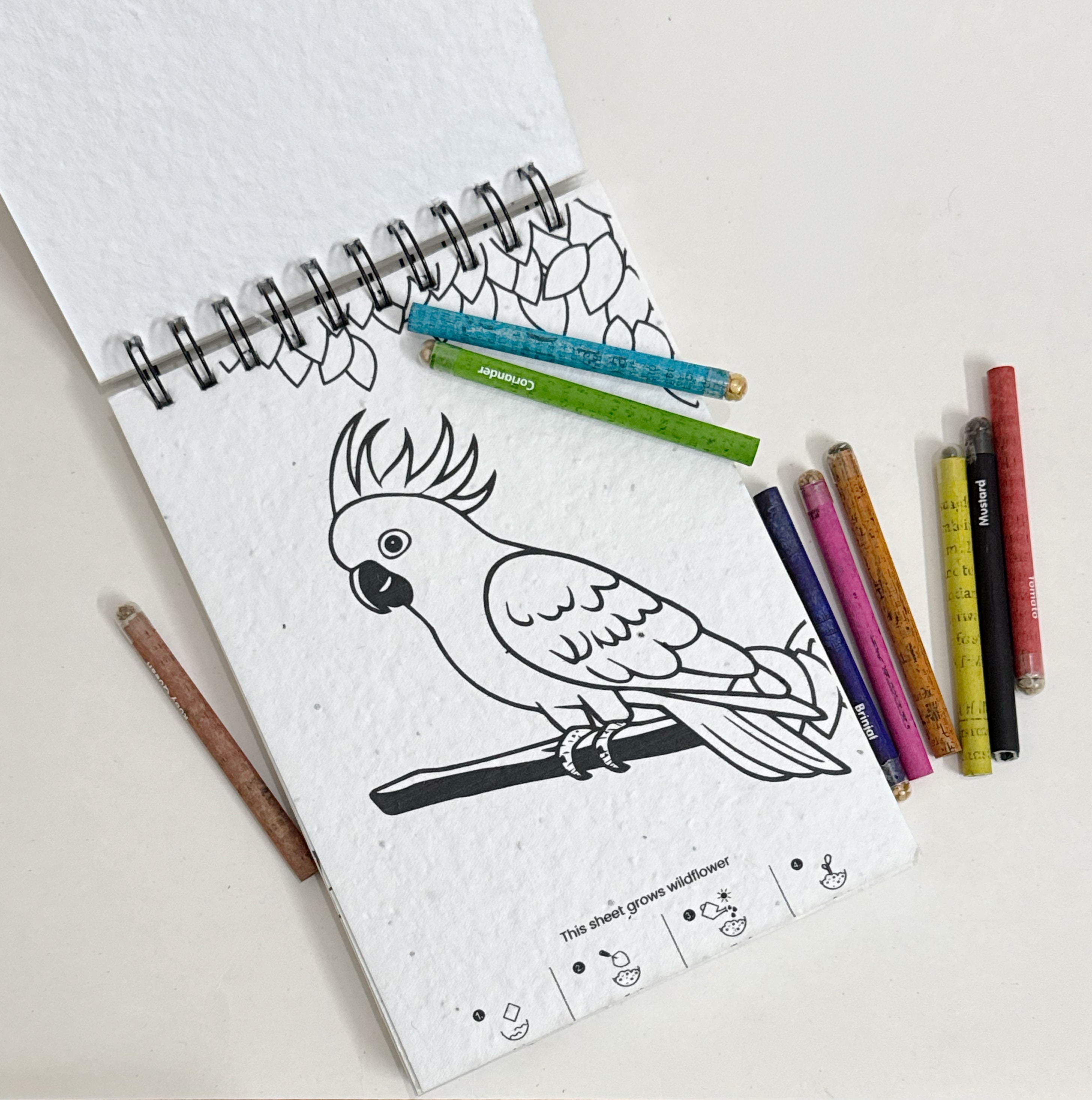 PURPLE AND PURE | Plantable Colouring Book For Kids - Zoo Edition