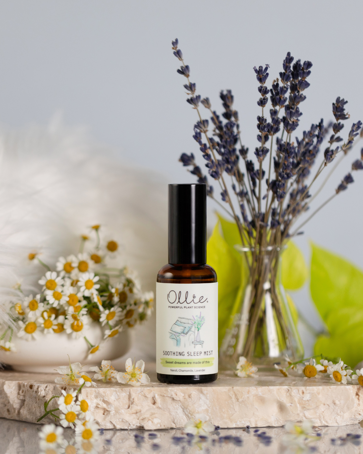 OLLIE | Soothing Sleep Mist