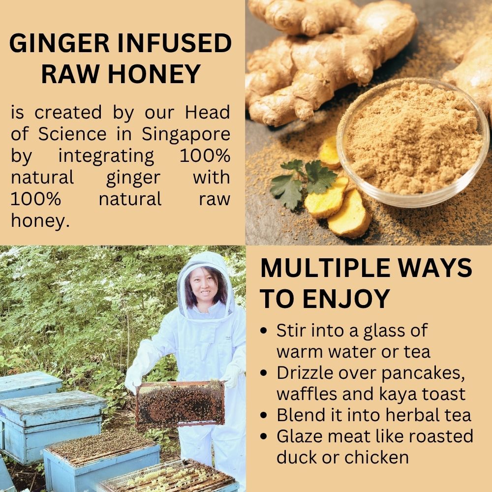 HIVES KEEPER | Infused Raw Honey (with Gift Box) - Ginger Infused Raw Honey