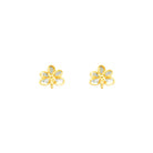 RISIS | Ascocenda Blossom Earrings in Gold & Palladium