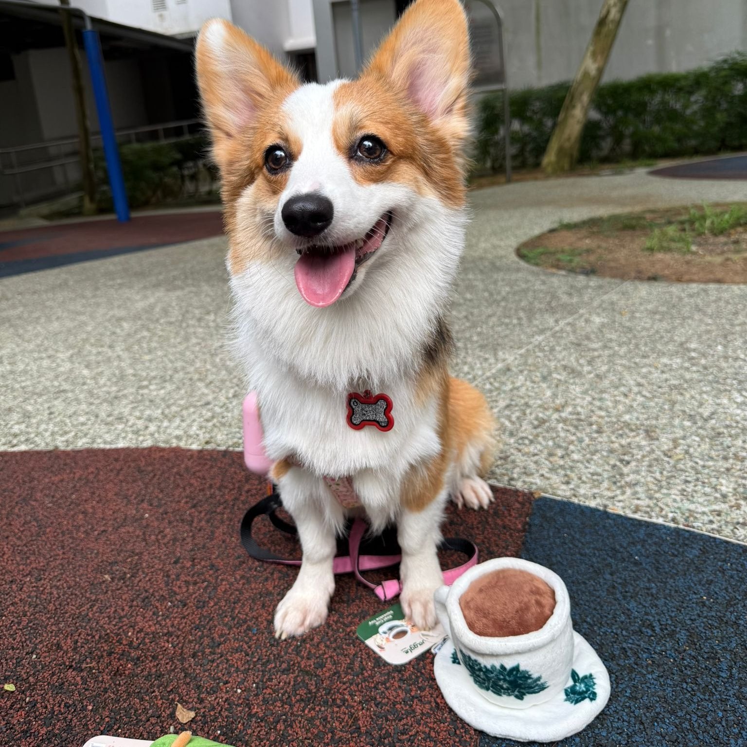 NOM | Waggle Kopi Cup Squeakie Chew Toy
