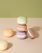 Macaron Soap Box Set - Clean Folks Club