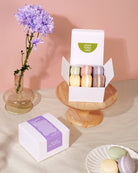 Macaron Soap Box Set - Clean Folks Club