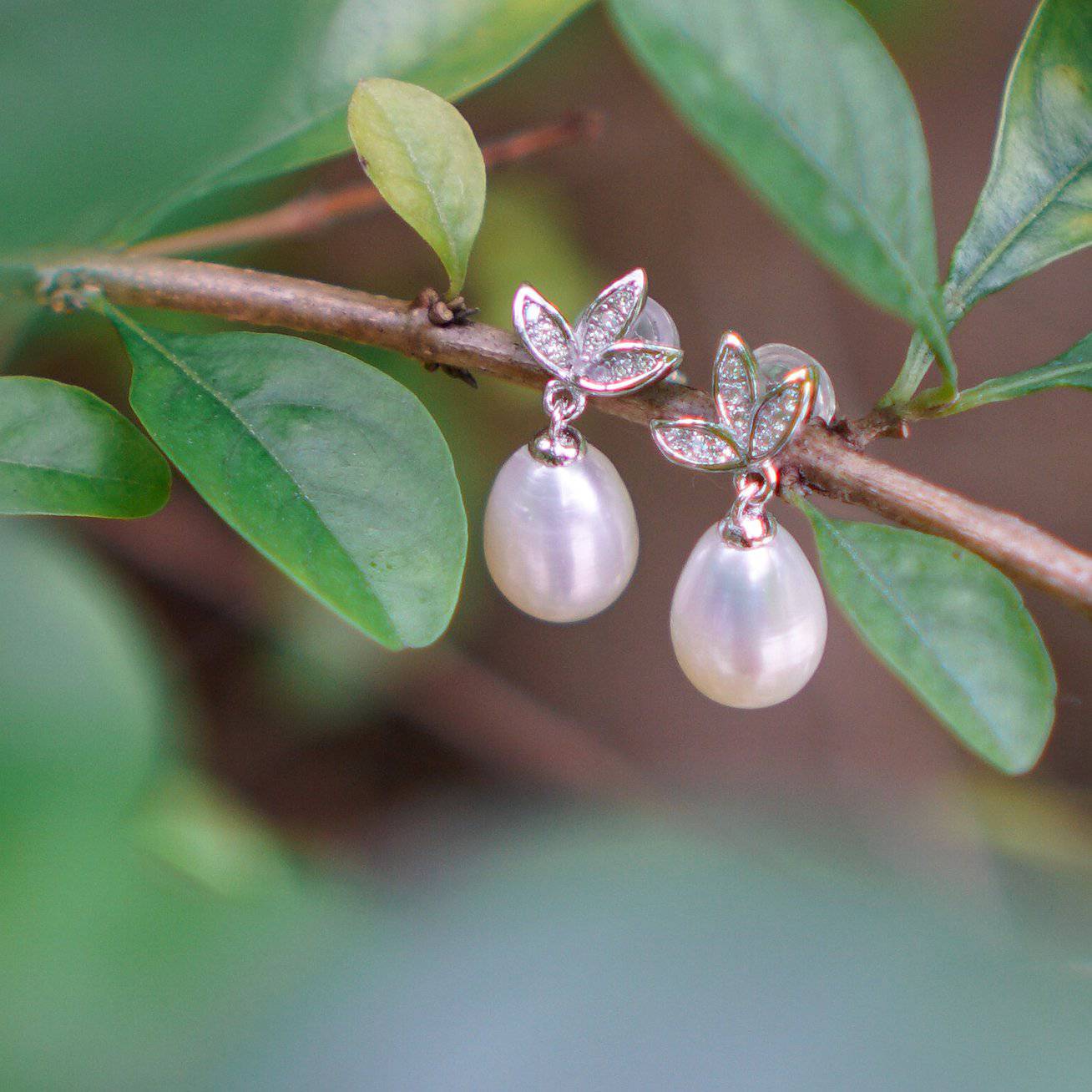 Elegant Freshwater Pearl Earrings WE00055 - PEARLY LUSTRE